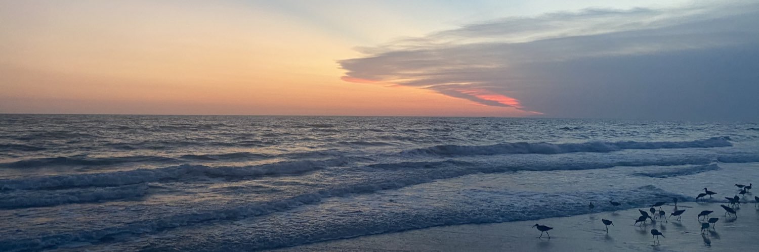 morganballi's profile banner image