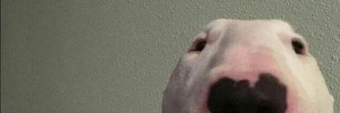 Lit_Levi's profile banner image