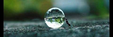 Quote4Quoters's profile banner image