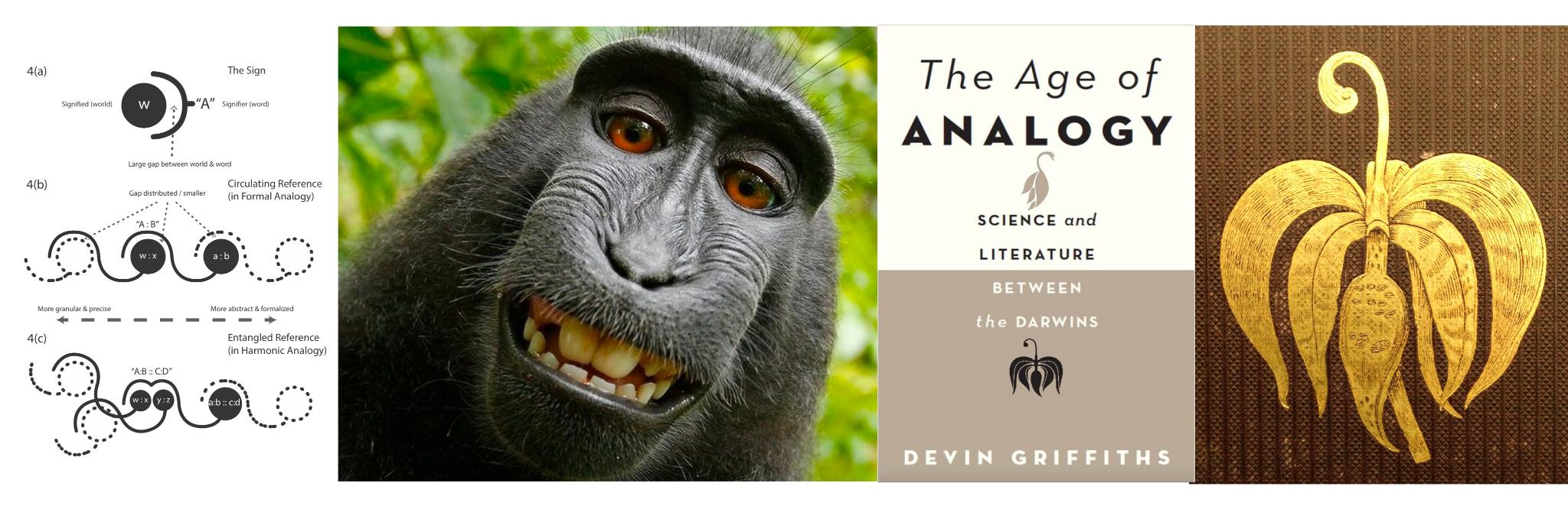 Devin Griffiths banner