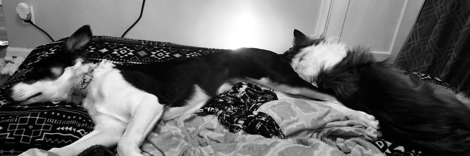 constantmusings's profile banner image
