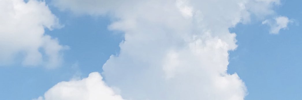 Andrea Lipps banner