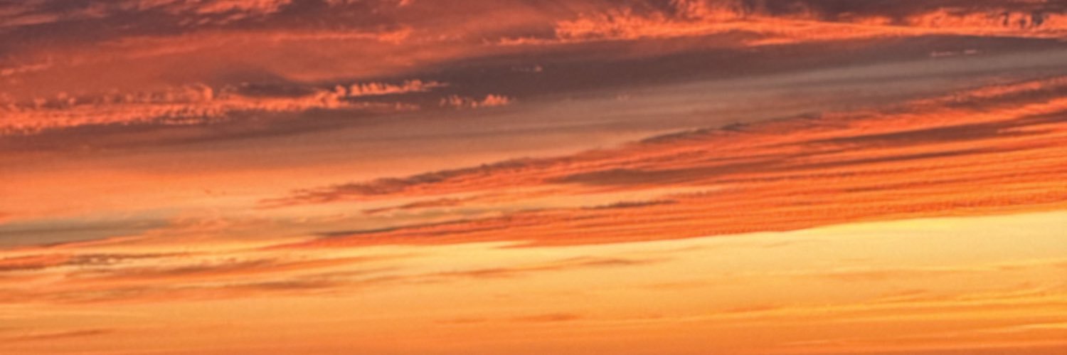 FernandaRmro's profile banner image