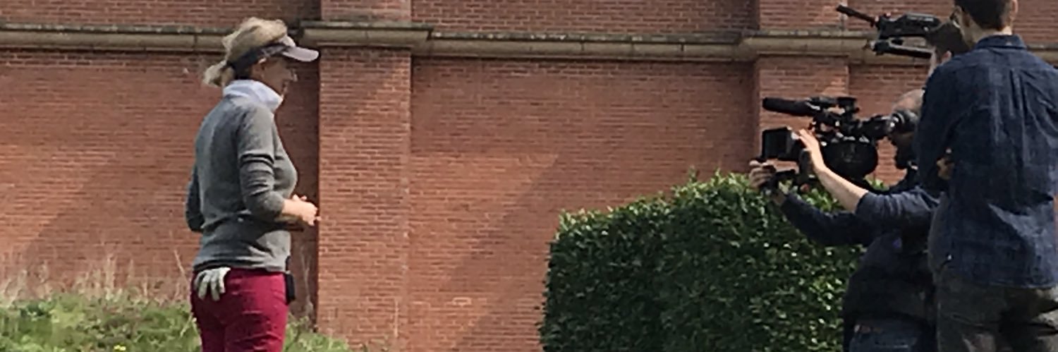 AlexGoldschmidt's profile banner image