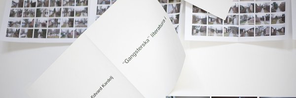 msdm Profile Banner