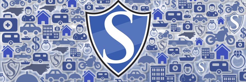 StanberryIns's profile banner image