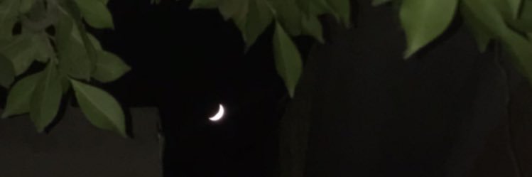 Ayaelrefaay580's profile banner image