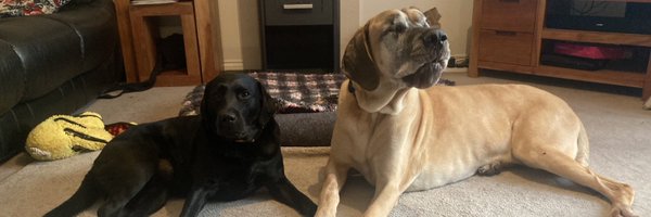 MaxineLDNurse Profile Banner