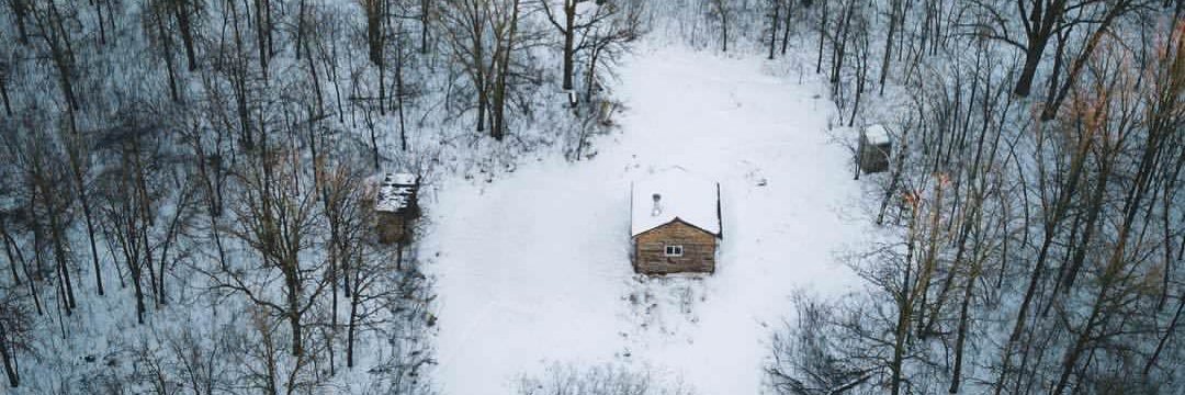 Cécile 🐶🏞️🏴󠁧󠁢󠁳󠁣󠁴󠁿🇪🇺🇺🇦🌍🧡 banner