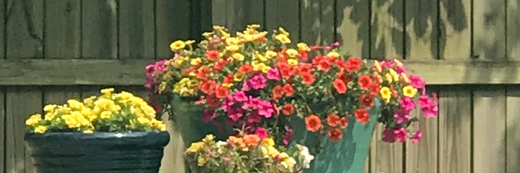 sjohnson8898's profile banner image