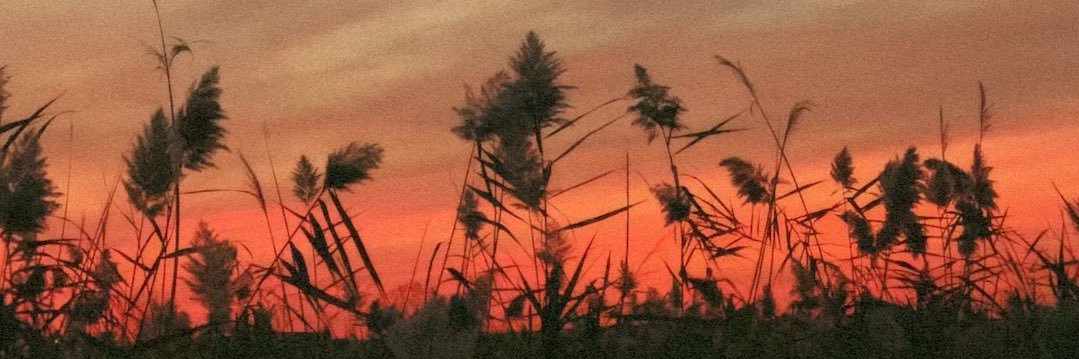 typicalleslie's profile banner image