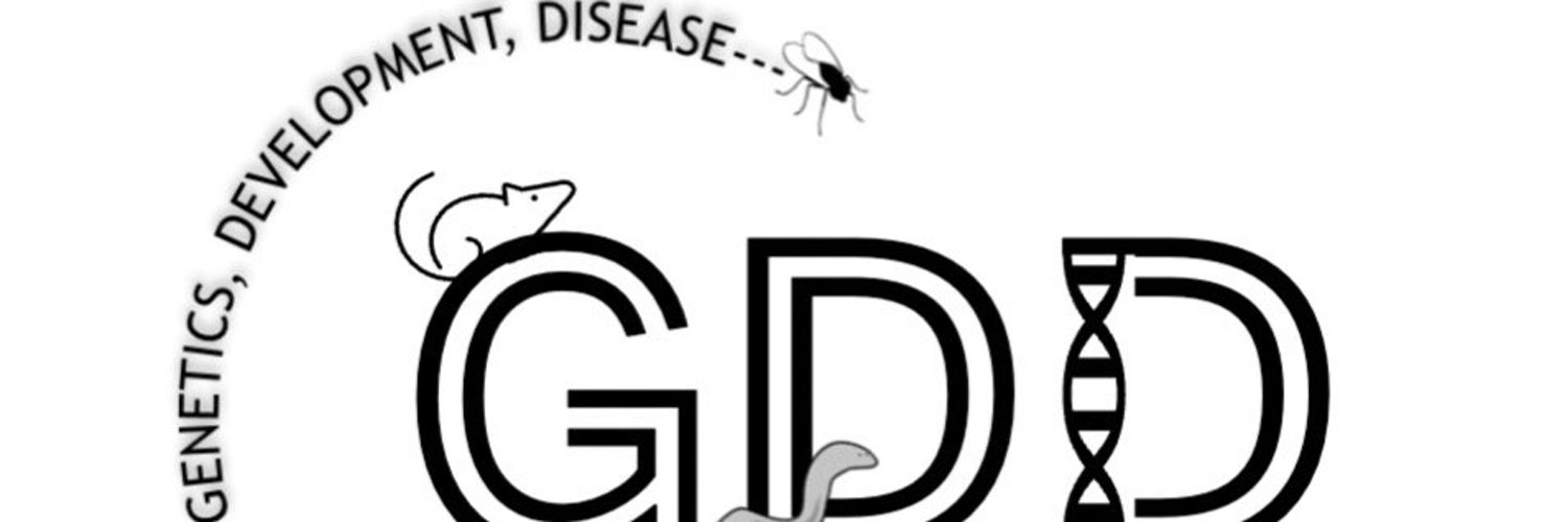 GD&D Profile Banner