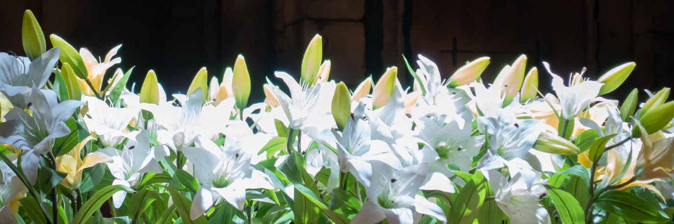 ukyo0303's profile banner image