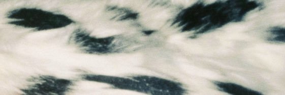 fb banner
