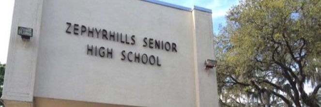 ZHS Students Connect banner