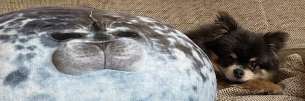 esmegalodon Profile Banner