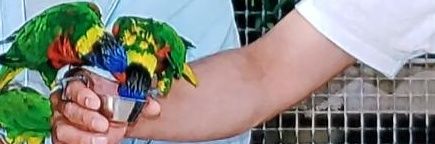 bilalfpatel's profile banner image