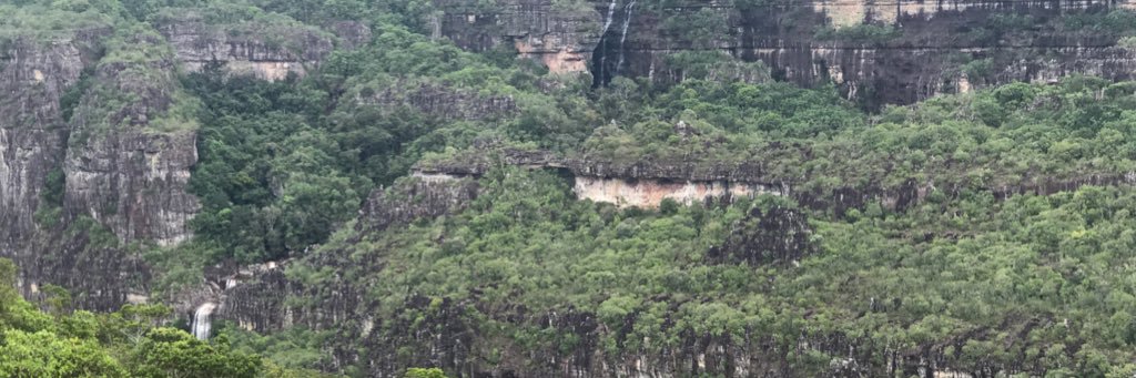 Camilo Granada banner