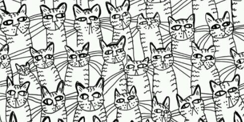 Riankavan's profile banner image