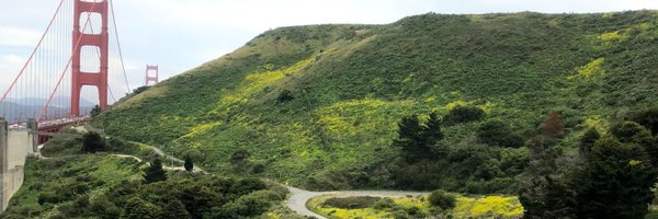 pdavison Profile Banner