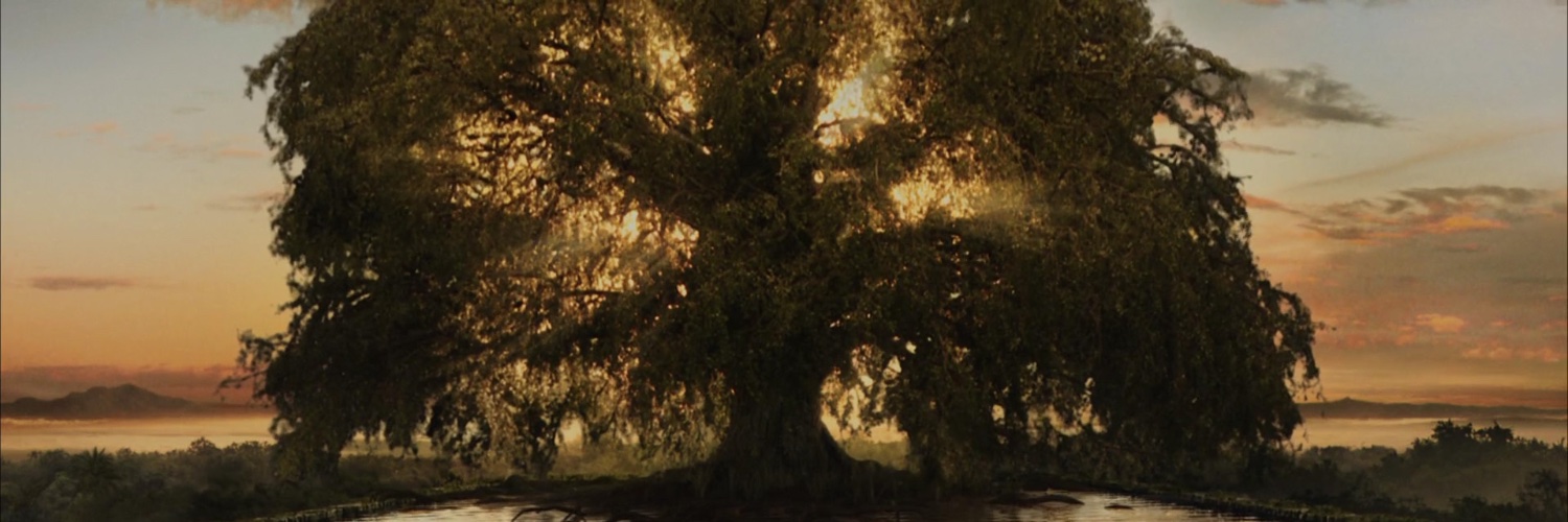 Elizabeth MacLeod banner