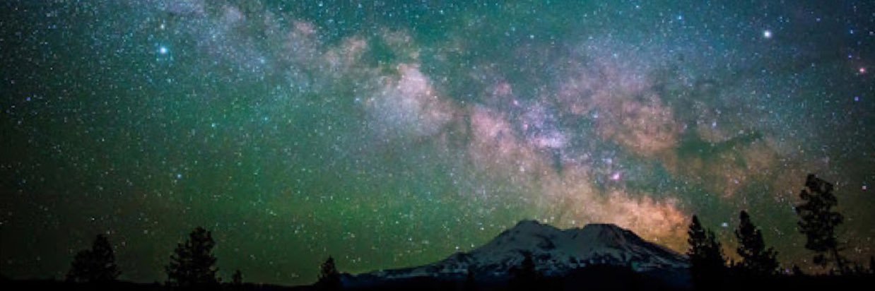 Zoran Nikolić banner