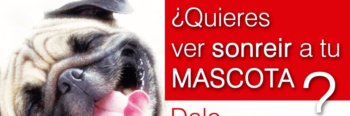 Aba_AliDog's profile banner image
