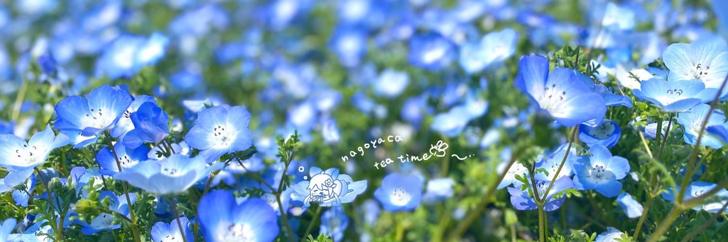 フェルネモ☕️🌷お仕事募集中's banner