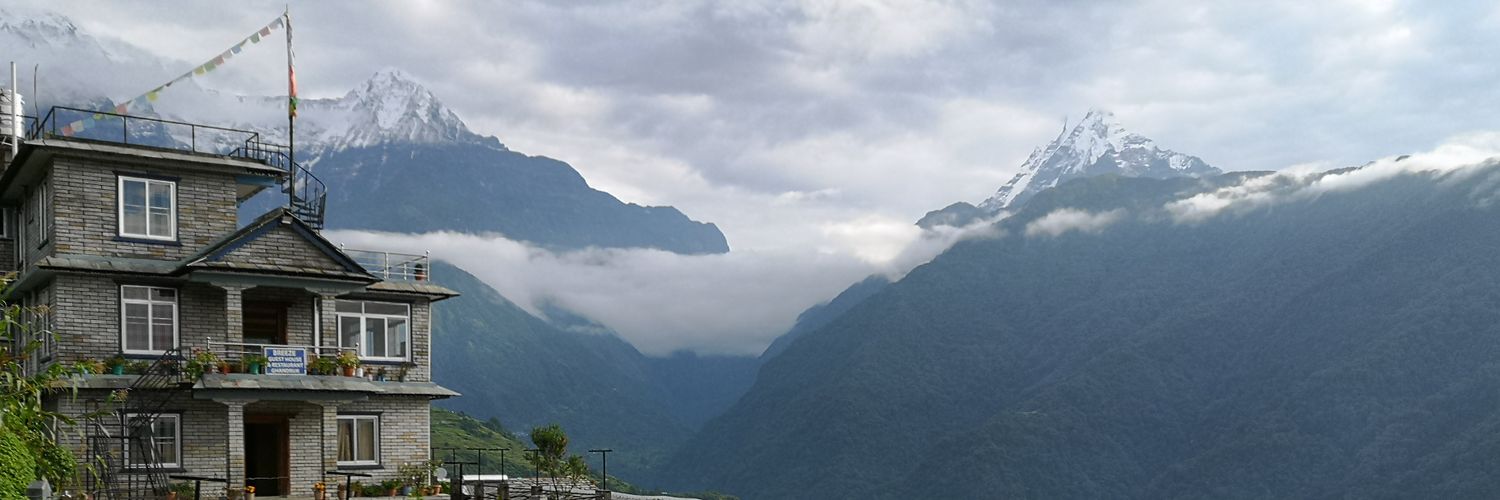 whpena's profile banner image