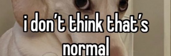 Maggipapi's profile banner image