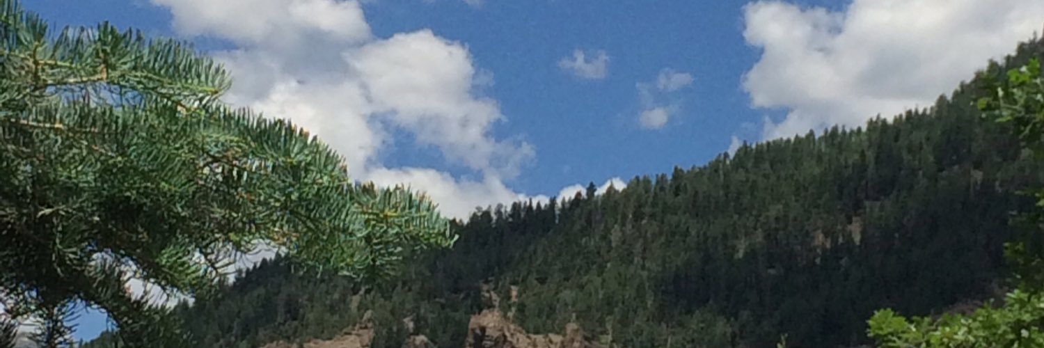 Jennifer Baron banner
