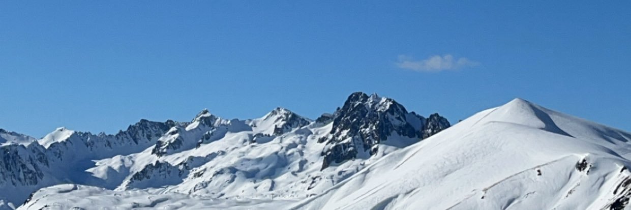 max banner