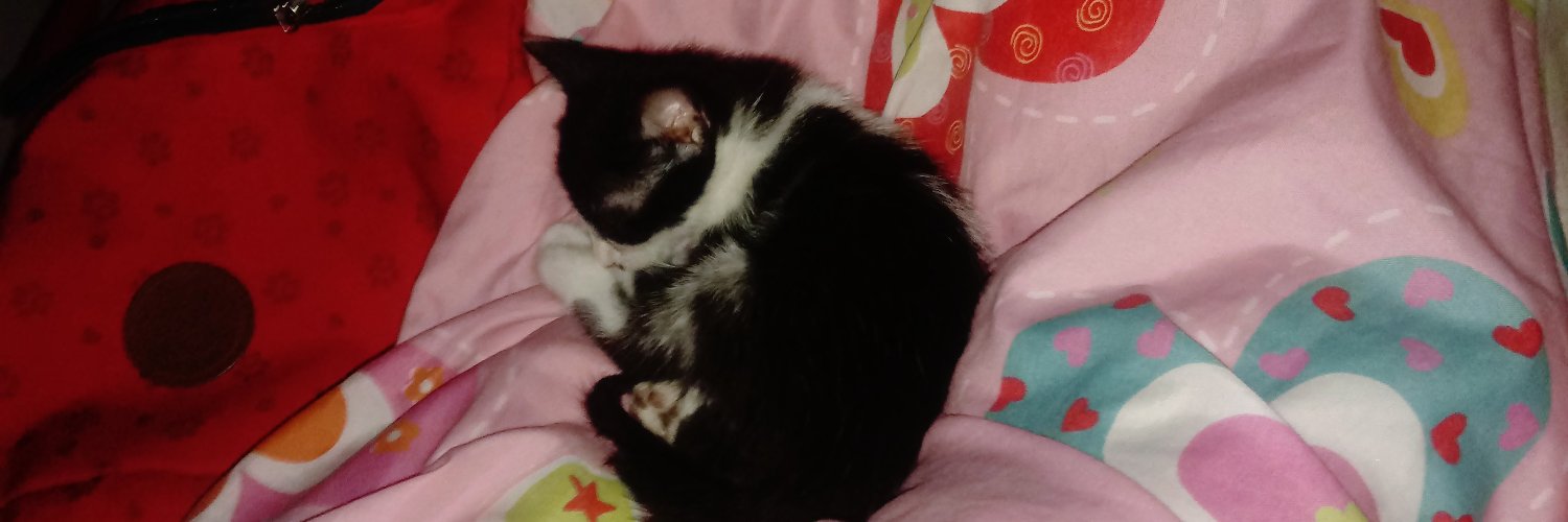KimiMoonchild's profile banner image