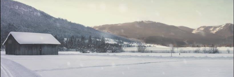 BrandonSteadman's profile banner image