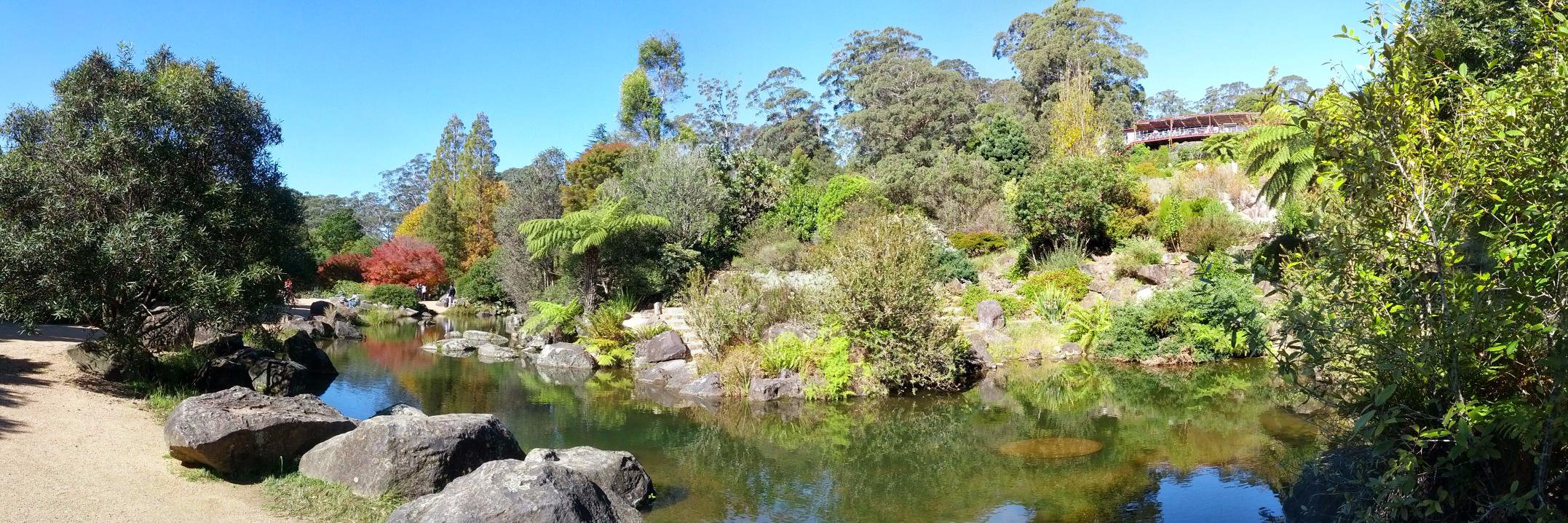 Adela Sobotkova banner