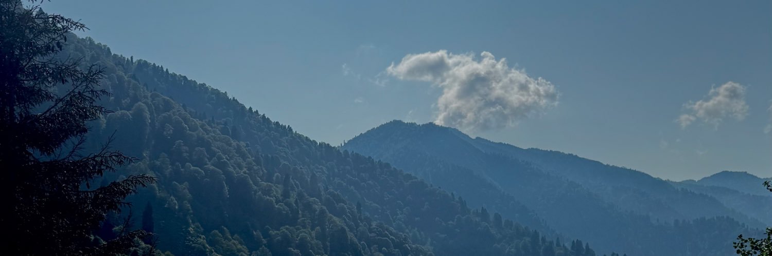 XFnull's profile banner image
