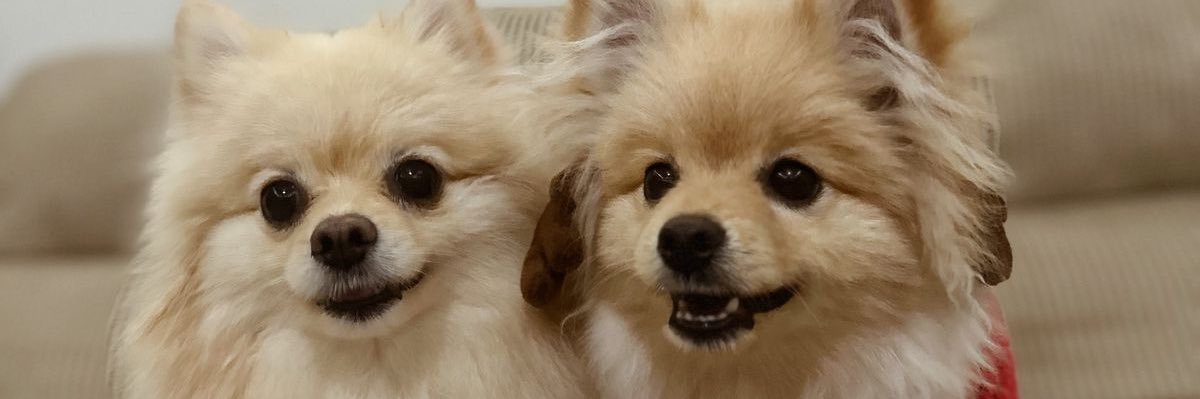 Jenigs25's profile banner image