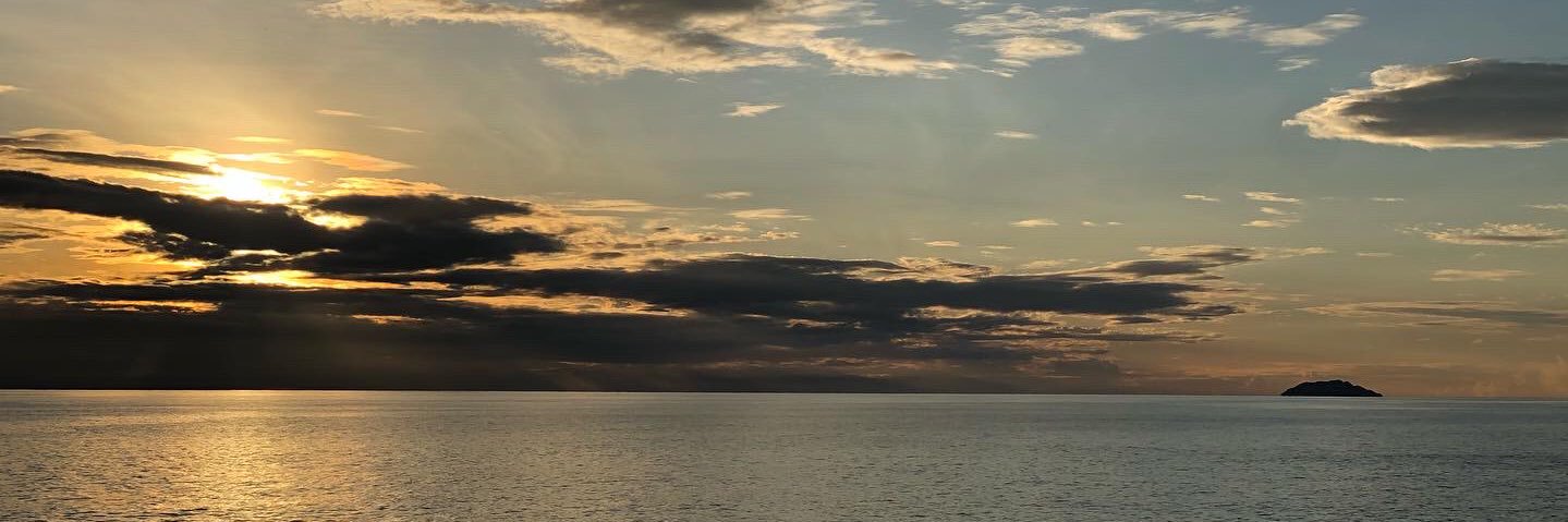 alondra98's profile banner image