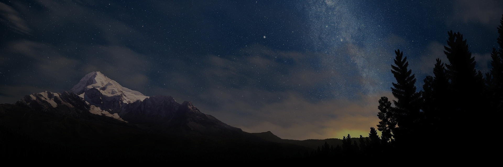VertexLabs's profile banner image