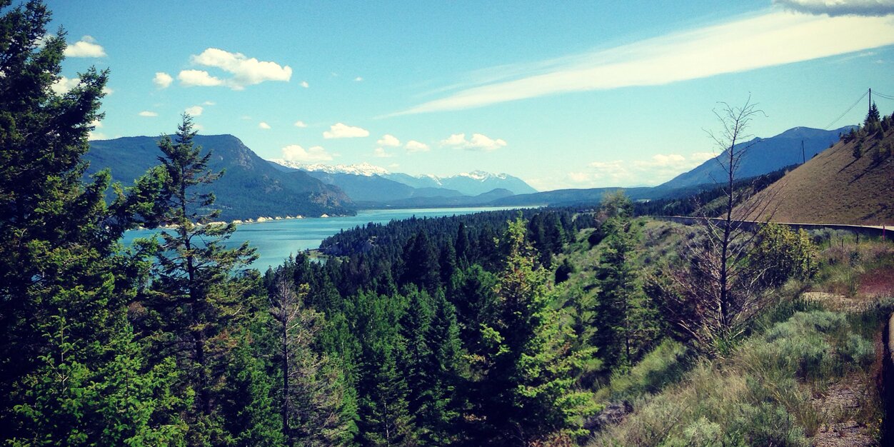 Di🅿️lomat 🏁 banner