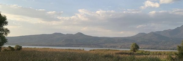 AngelMaxGH Profile Banner