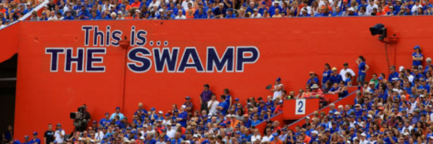 Swamp Gator banner