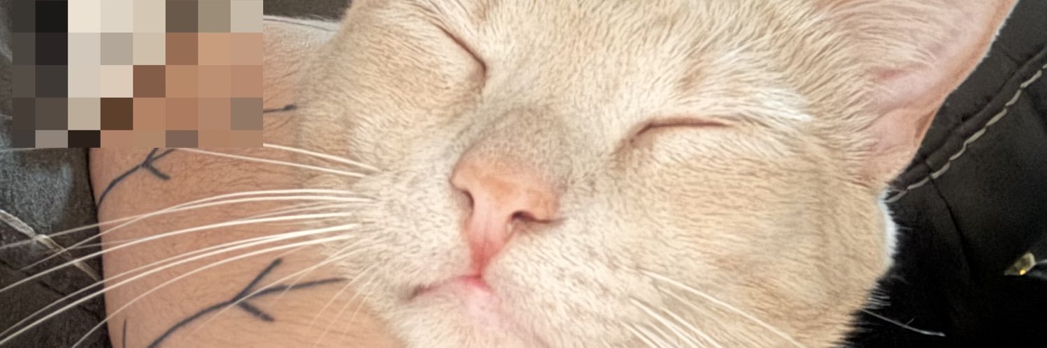 Soy_Sam_g's profile banner image