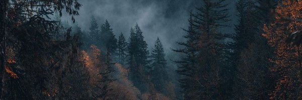 TekiNova0 Profile Banner