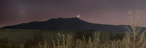 AlexCorts10 Profile Banner