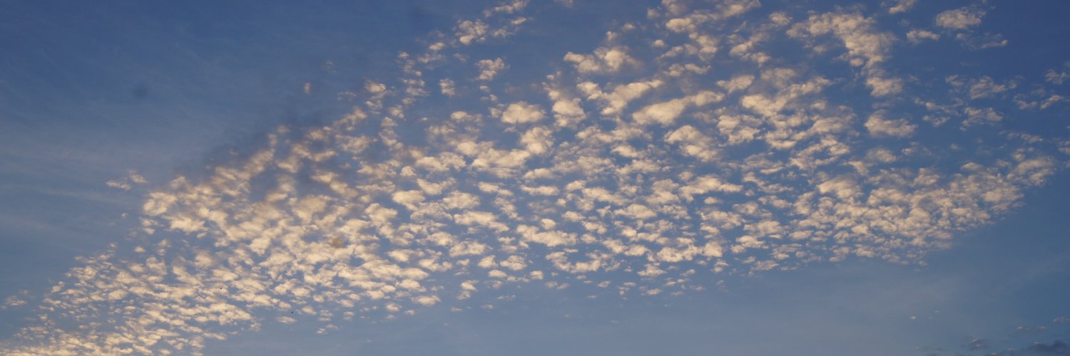 omarm361's profile banner image
