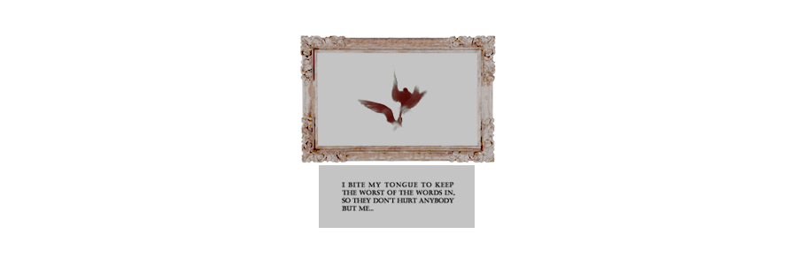 lNCAENDI's profile banner image