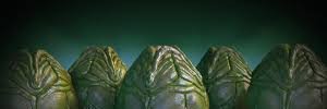 AlienQueenLV426's profile banner image