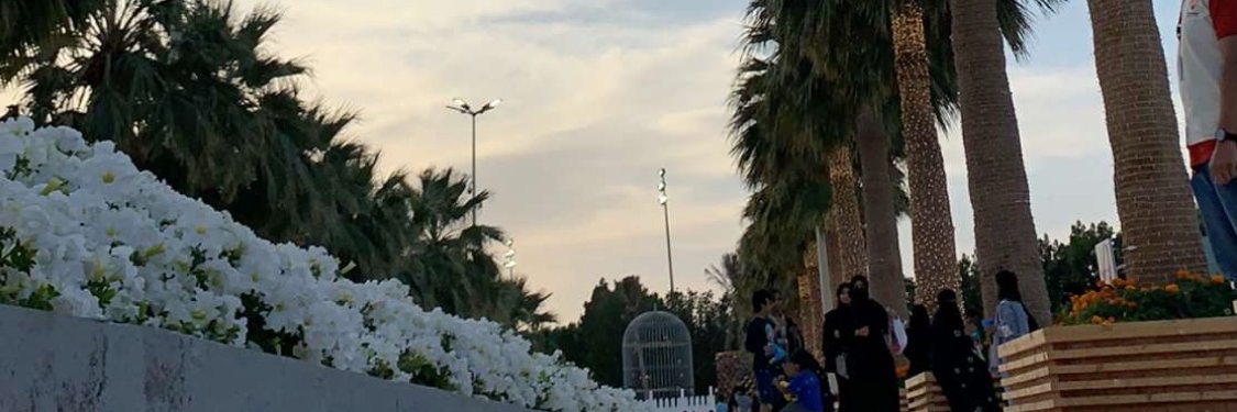 si44io's profile banner image