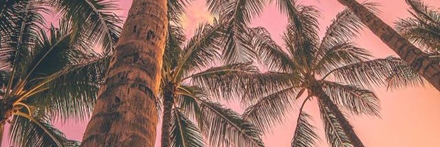 ndineroo's profile banner image